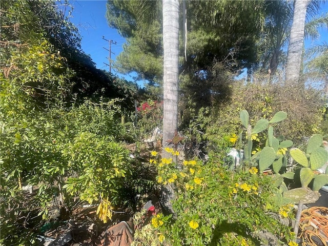 7751 Arvilla Ave, Sun Valley, CA 91352 - photo 28