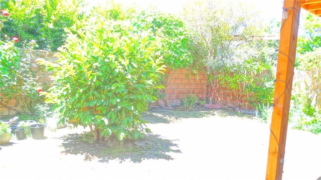3210 S Center St, Santa Ana, CA 92704 - view of patio