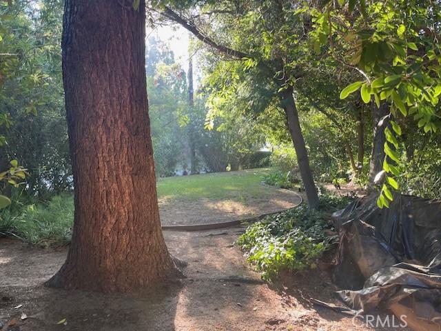 736 Burleigh Dr, Pasadena, CA 91105 - view of yard