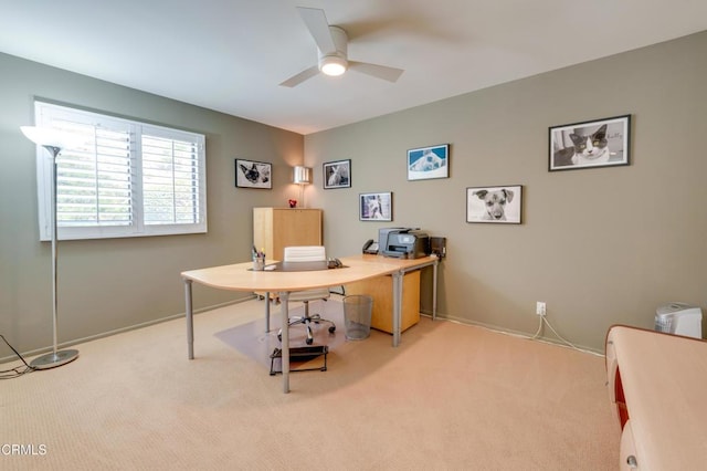 750 Portola Ter, Los Angeles, CA 90042 - photo 31