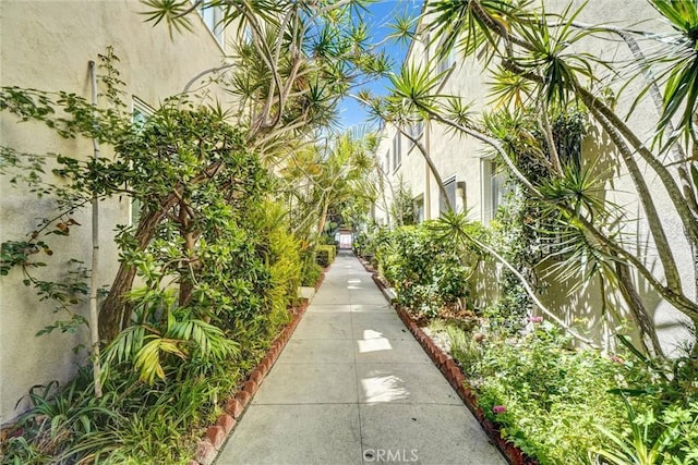 1616 E Ocean Blvd Unit 6, Long Beach, CA 90802 - surrounding community