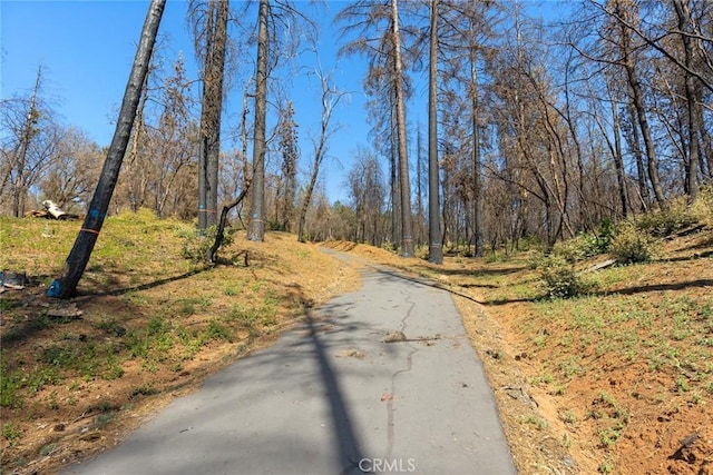 406 Vilas Rd, Chico, CA 95973