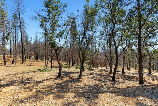 406 Vilas Rd, Chico, CA 95973