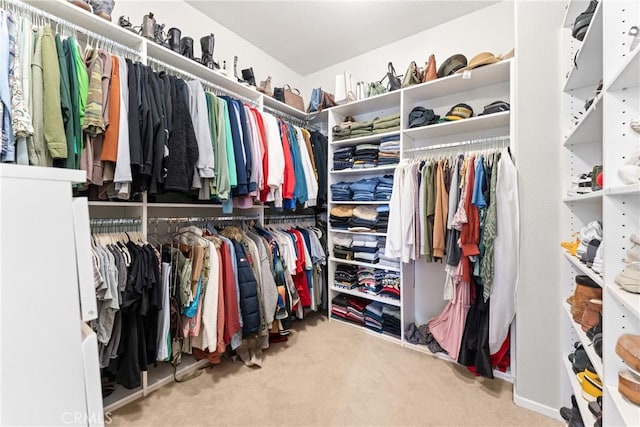 1474 De La Vina St, Chula Vista, CA 91913 - walk in closet featuring carpet