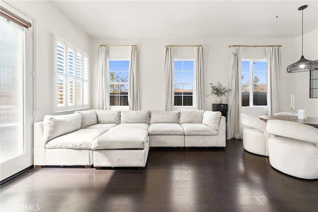 1474 De La Vina St, Chula Vista, CA 91913 - living room featuring healthy amount of natural light and dark wood finished floors