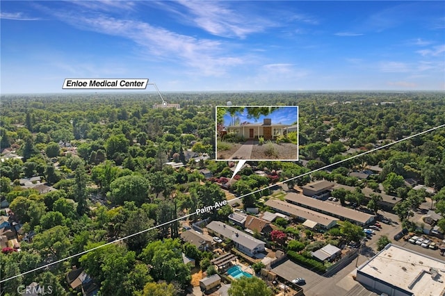 1245 Palm Ave, Chico, CA 95926 - view of property location featuring property parcel outlined and a forest