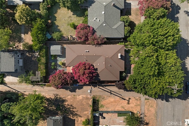 1245 Palm Ave, Chico, CA 95926 - bird's eye view