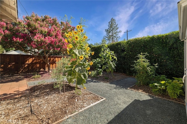 1245 Palm Ave, Chico, CA 95926 - fenced backyard featuring a patio area