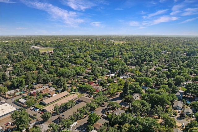 1245 Palm Ave, Chico, CA 95926 - drone / aerial view of a forest