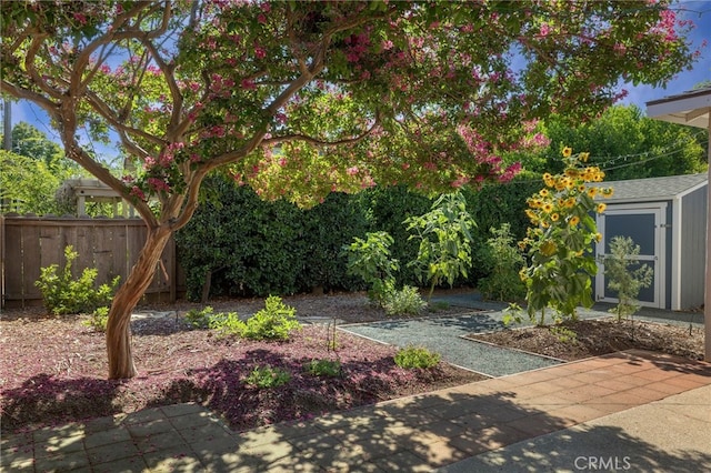 1245 Palm Ave, Chico, CA 95926 - view of yard featuring a shed