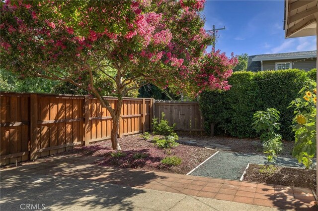 1245 Palm Ave, Chico, CA 95926 - fenced backyard featuring a patio
