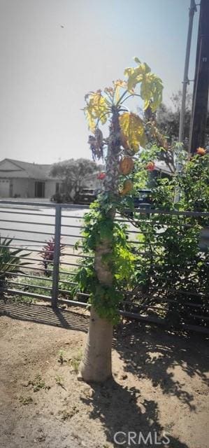9203 Mandale St, Bellflower, CA 90706 - photo 22