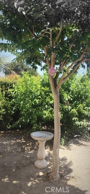 9203 Mandale St, Bellflower, CA 90706 - photo 30