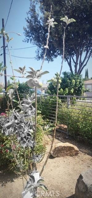 9203 Mandale St, Bellflower, CA 90706 - photo 24