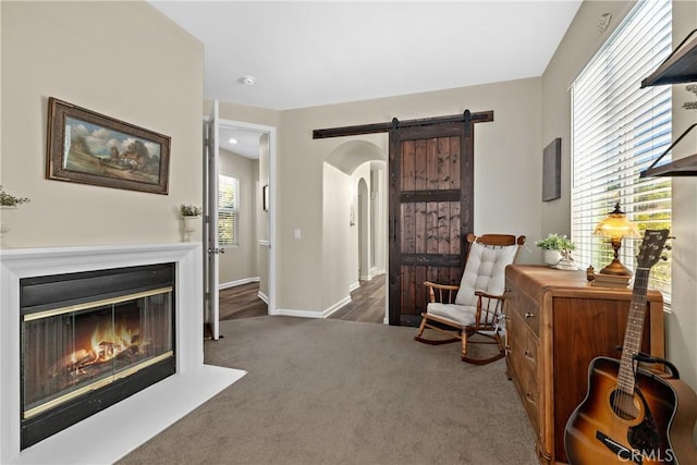 31956 Via Del Paso, Winchester, CA 92596 - sitting room featuring arched walkways, a barn door, carpet flooring, and a glass covered fireplace