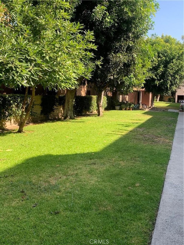 1017 W Bishop St Unit 202, Santa Ana, CA 92703 - view of yard