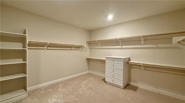 1167 Tesoro Pl, Vista, CA 92081 - walk in closet featuring light carpet