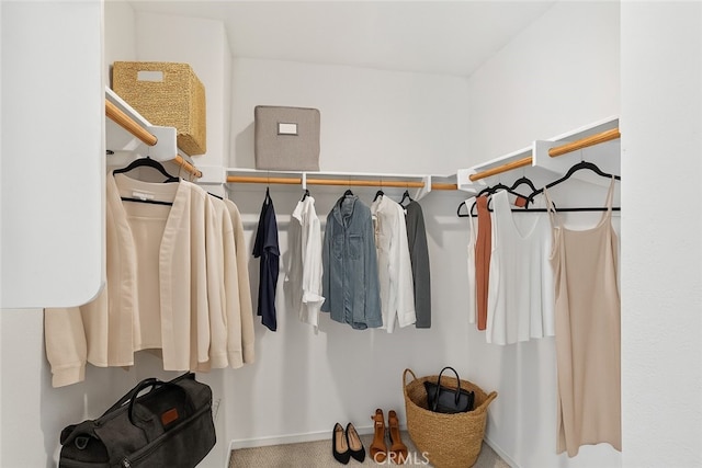 35115 Vine Pl, Fallbrook, CA 92028 - spacious closet with carpet flooring