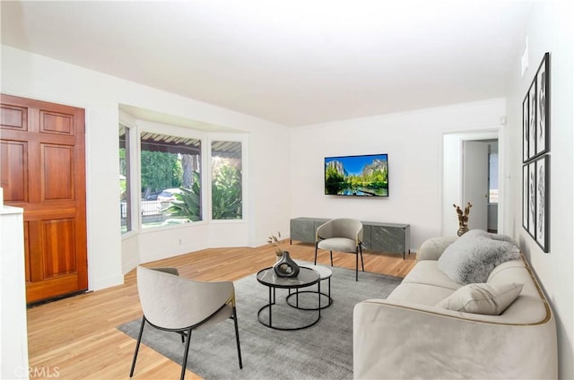 10520 Haskell Ave, Granada Hills, CA 91344 - living area featuring light wood-style floors