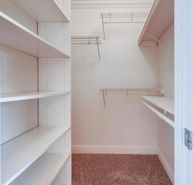 506 Canyon Dr Unit 70, Oceanside, CA 92054 - walk in closet with carpet flooring