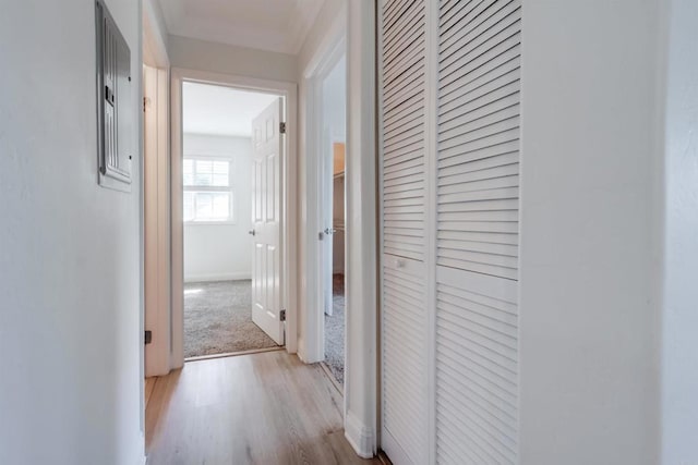 506 Canyon Dr Unit 70, Oceanside, CA 92054 - hallway featuring light wood-style floors and baseboards