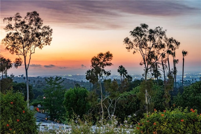 16 Roadrunner Rd, Rolling Hills, CA 90274 - view of nature
