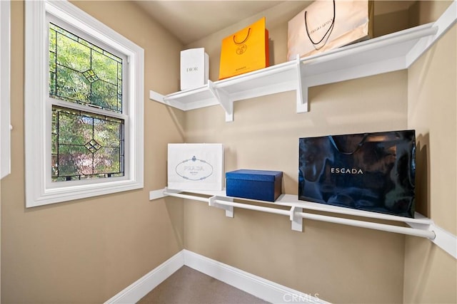19668 Three Oaks Ln, Walnut, CA 91789 - view of storage area