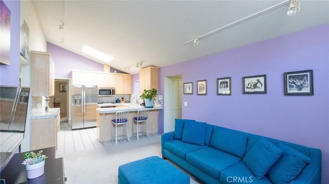 3456 Veteran Ave, Los Angeles, CA 90034 - living room with rail lighting, lofted ceiling, and light carpet
