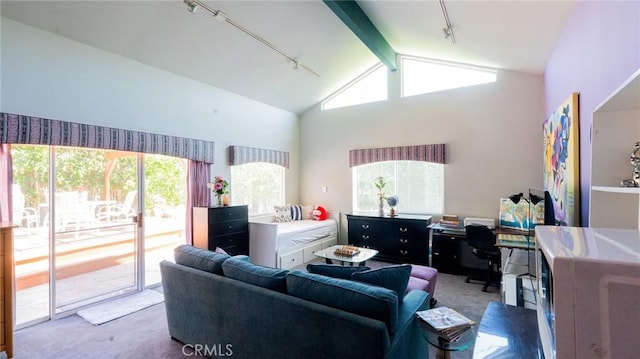 3456 Veteran Ave, Los Angeles, CA 90034 - living area featuring rail lighting, carpet, and a desk