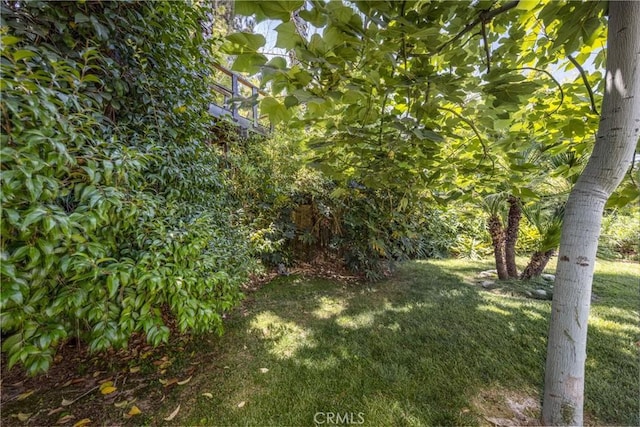 36151 Sharon Way, Yucaipa, CA 92399 - view of green lawn