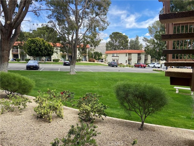 9645 Spyglass Ave, Desert Hot Springs, CA 92240 - photo 8