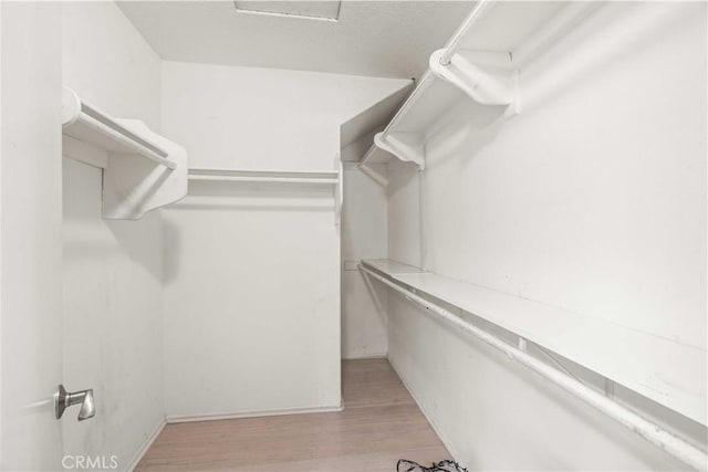 23612 Muir Trl Unit 74, Valencia, CA 91354 - spacious closet featuring light wood-type flooring