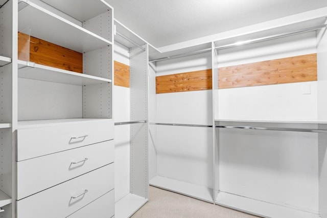 4750 Jeffer Ln, La Mesa, CA 91941 - view of spacious closet