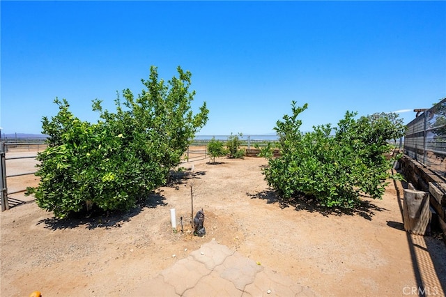 2777 Shadow Canyon Cir, Norco, CA 92860 - view of yard