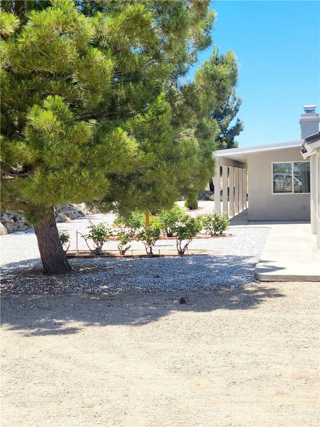 325 Canyon Rd, Pinon Hills, CA 92372 - view of yard