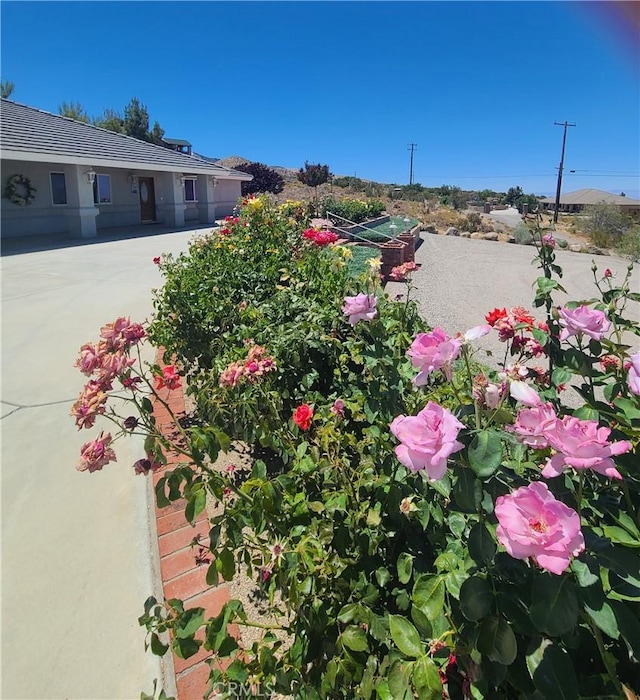 325 Canyon Rd, Pinon Hills, CA 92372 - exterior view