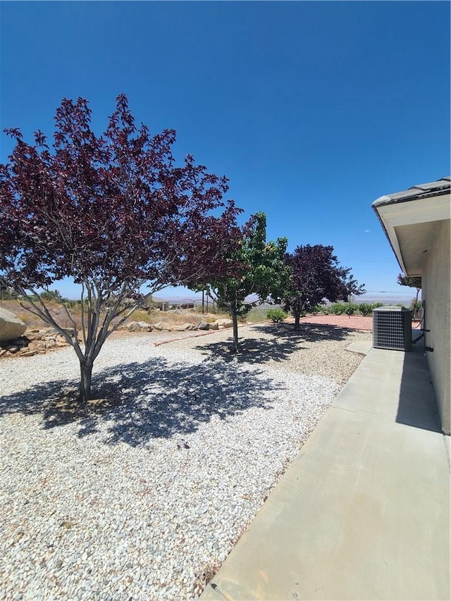 325 Canyon Rd, Pinon Hills, CA 92372 - view of yard
