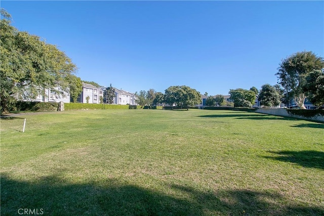 20191 Cape Coral Ln Unit 3-206, Huntington Beach, CA 92646 - view of grassy yard