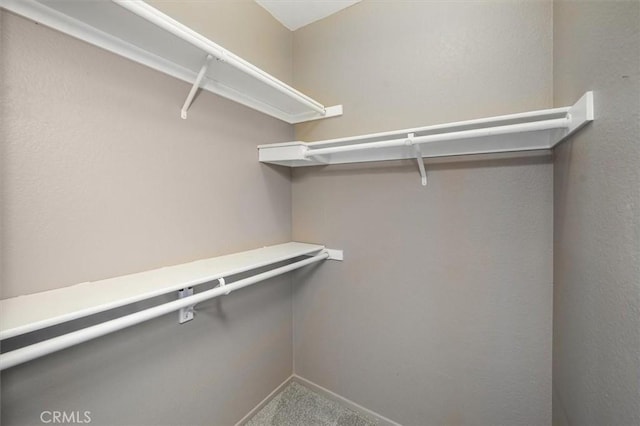 18818 Vista Del Canon Unit G, Newhall, CA 91321 - spacious closet featuring carpet