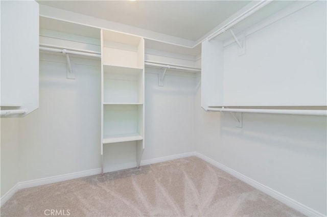 325 E Duarte Rd Unit C, Arcadia, CA 91006 - spacious closet featuring carpet floors
