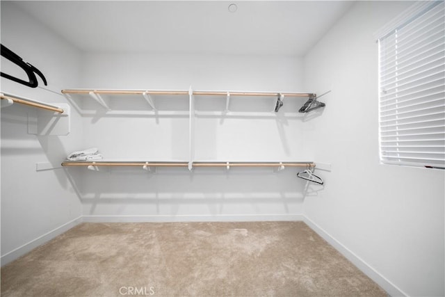 151 Fremont, Lake Forest, CA 92630 - walk in closet with carpet