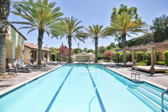 233 47th St, Long Beach, CA 90805 - community pool featuring a pergola and a patio