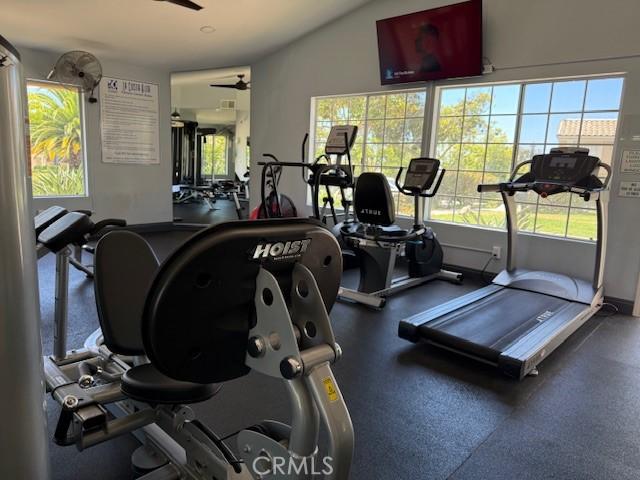 3211 Sello Ln Unit 100, Carlsbad, CA 92009 - gym featuring ceiling fan