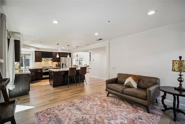 1205 Cerca, San Clemente, CA 92673 - living room featuring ornamental molding, recessed lighting, and light wood finished floors