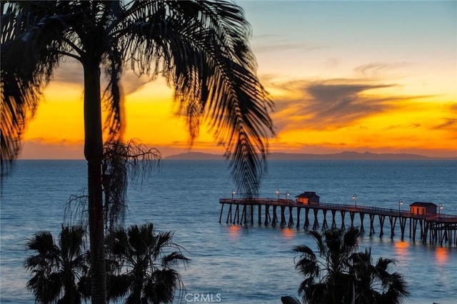 1205 Cerca, San Clemente, CA 92673 - dock area with a water view