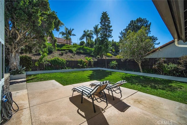 1205 Cerca, San Clemente, CA 92673 - fenced backyard featuring a patio