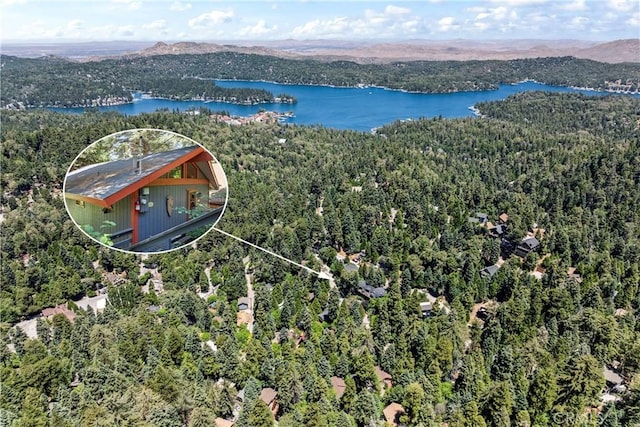 760 Lake Dr, Lake Arrowhead, CA 92352 - photo 48