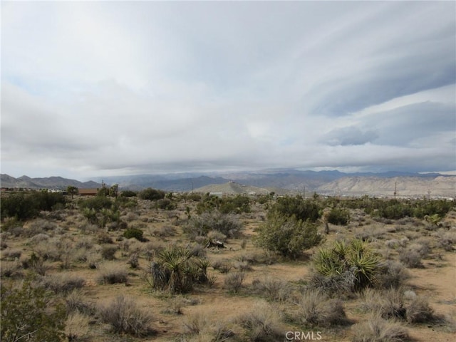 8626 La Contenta Rd, Yucca Valley, CA 92284 - view of mountain background