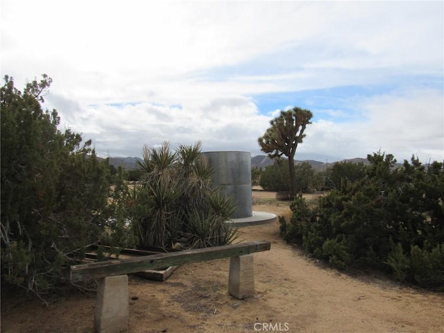 8626 La Contenta Rd, Yucca Valley, CA 92284 - view of yard