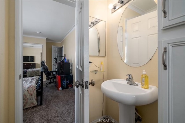 1649 Wrentree Way, Hemet, CA 92545 - bathroom with crown molding and a sink